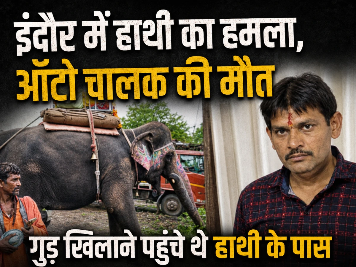 इंदौर में हाथी का खौफनाक हमला, ऑटो चालक को सूंड से उठाकर पटका; मौत