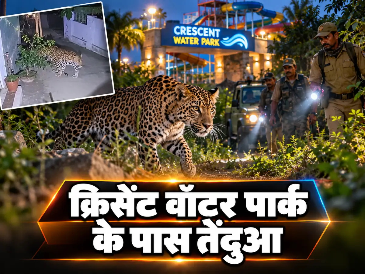 इंदौर में घर के पास दिखा घायल तेंदुआ, क्रिसेंट वॉटर पार्क के पास दहशत